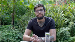 How Natural Remedies Are Beating Big Pharma Industries