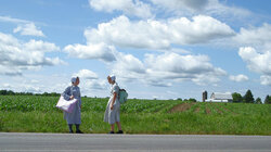 The Panic in Amish Park