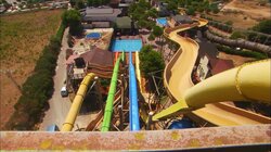 America's First Rattler