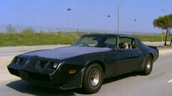 Danelle's 1981 Pontiac Trans Am