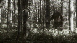 Chased by a Bigfoot and More