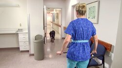 Rottweiler in the ER