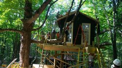 Treehouse Cabin