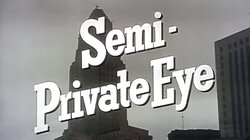 Semi-Private Eye