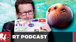 The Puffer Fish Problem – #367