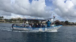 Pursuing Passions in Cozumel