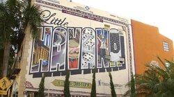 Miami: Little Havana vs. Wynwood