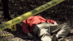 Murder, Lies & Bondage Ties