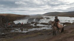 Akureyri: Waterfalls and Whales