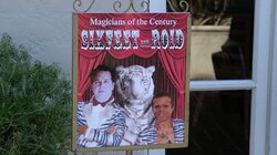 An Actual Tiger on a Golf Course