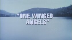 One Winged Angels