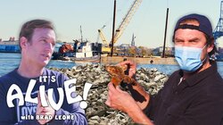 Brad Restores Oyster Reefs