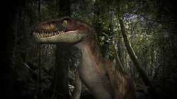 Florida Dinosaur and More