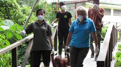 Dealing with Stubbornness and Illness