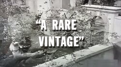 A Rare Vintage