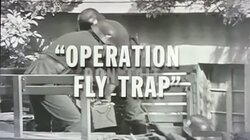 Operation Fly Trap