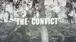 The Convict
