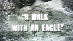 A Walk with an Eagle