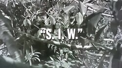 S.I.W.