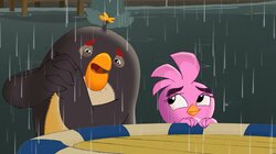 Angry Birds: Summer Madness - S1E5 - It's Raining, It's Boring It's Raining, It's Boring Thumbnail