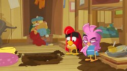 Angry Birds: Summer Madness - S1E11 - Splashageddon! Splashageddon! Thumbnail