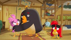 Angry Birds: Summer Madness - S1E12 - Misadventures in Hatchling-sitting Misadventures in Hatchling-sitting Thumbnail