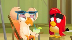 Angry Birds: Summer Madness - S1E16 - Fowl Weather! Fowl Weather! Thumbnail