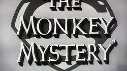 The Monkey Mystery