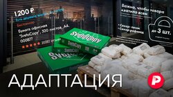 АДАПТАЦИЯ: Как мы привыкаем к новой реальности