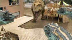 Dino Feeder / Tyrannosaur Test