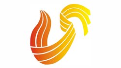 Shandong TV