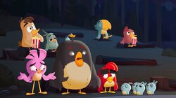 Angry Birds: Summer Madness - S2E4 - The Un-Chuckening The Un-Chuckening Thumbnail