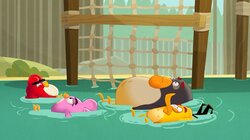 Angry Birds: Summer Madness - S2E6 - Friendship Falls Friendship Falls Thumbnail