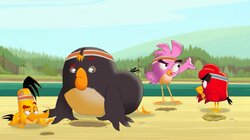 Angry Birds: Summer Madness - S2E16 - Splinter-Camp Games Splinter-Camp Games Thumbnail
