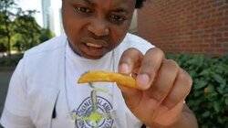 Manor Chicken (Manor House)