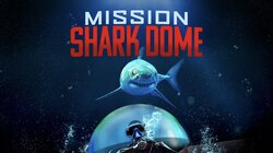 Mission Shark Dome