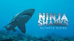 Ninja Sharks: Mutants Rising