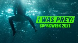 I Was Prey: Shark Week 2021