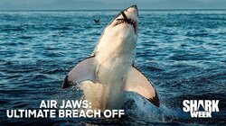 Air Jaws: Ultimate Breach Off