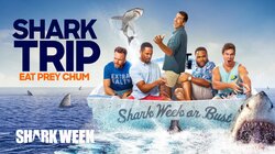 Shark Trip: Eat Prey Chum