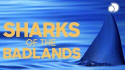 Sharks of the Badlands