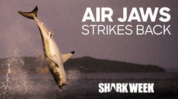 Air Jaws Strikes Back