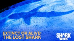 Extinct or Alive: The Lost Shark