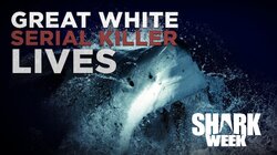 Great White Serial Killer Lives