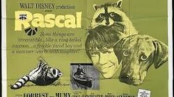 Rascal (1)