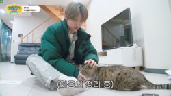 EP.22 Food Battle Special 4