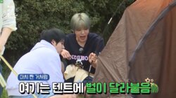 EP.41 Season 4 Welcome: Healing Special 1