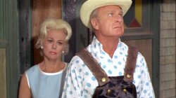 The Hooterville Image