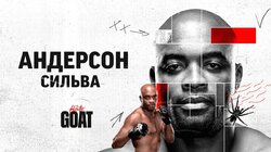 Андерсон Сильва