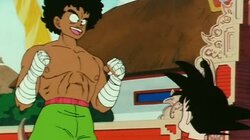 Goku Enters the Ring